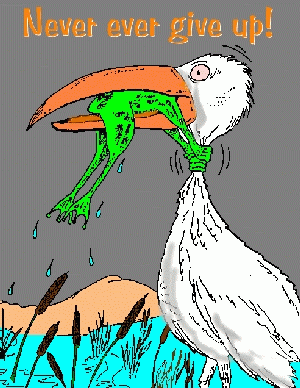 Posted Image, might have been reduced in size. Click Image to view fullscreen.