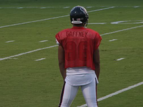 TexansTrainingCampAug01375.jpg