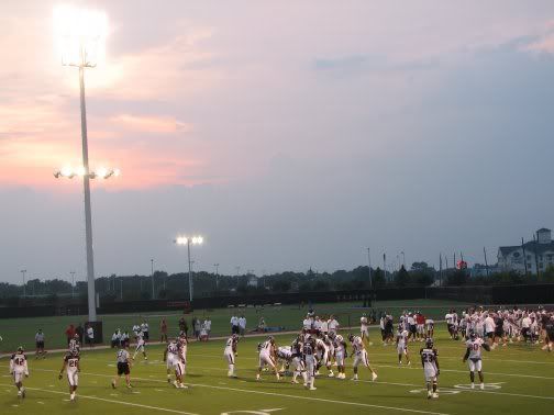 TexansTrainingCampAug01484.jpg