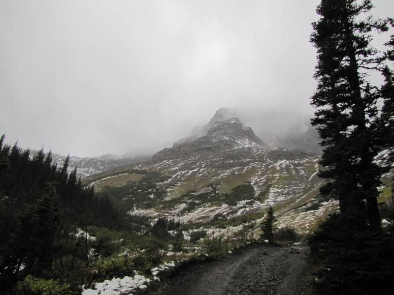 York Creek Plane Crash (Crowsnest Pass)