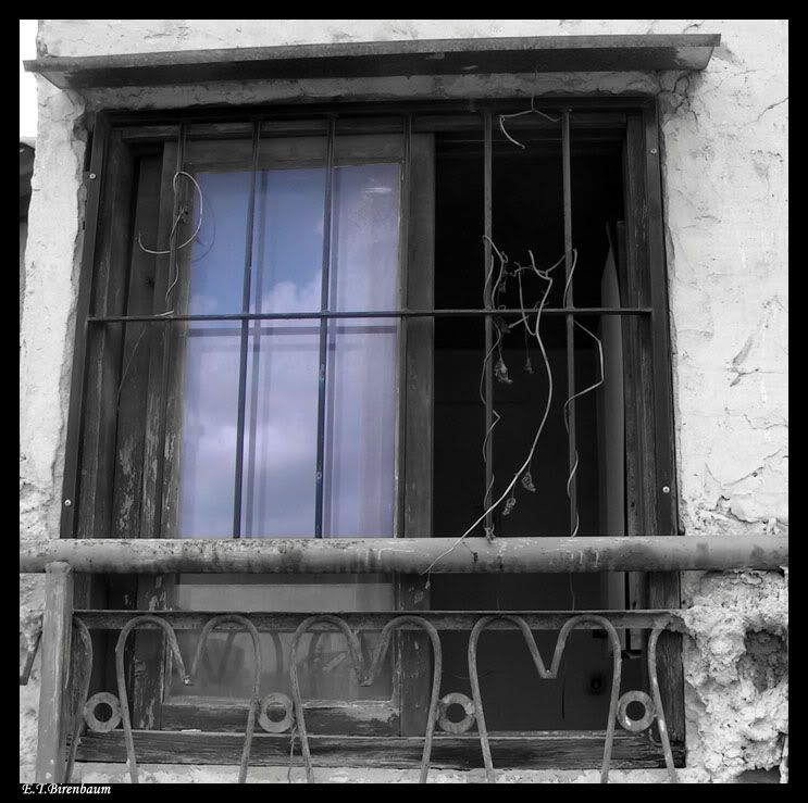 PICT01966.jpg