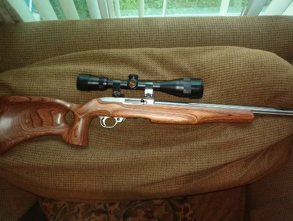 Ruger10-22new.jpg