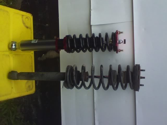 http://img.photobucket.com/albums/v646/Ghost112/92%20Hatch/0711081324.jpg
