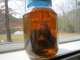 th_Day12SOSPadswithCiderVinegarQtPlasticJar.jpg