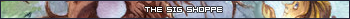 sigask.png