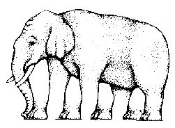 [Image: Elephant.bmp]