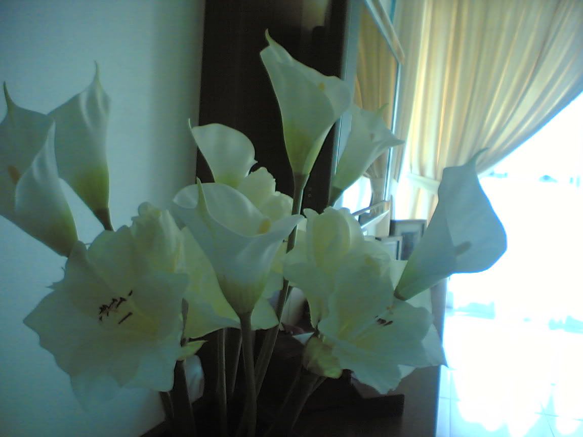 Image hosting by Photobucket