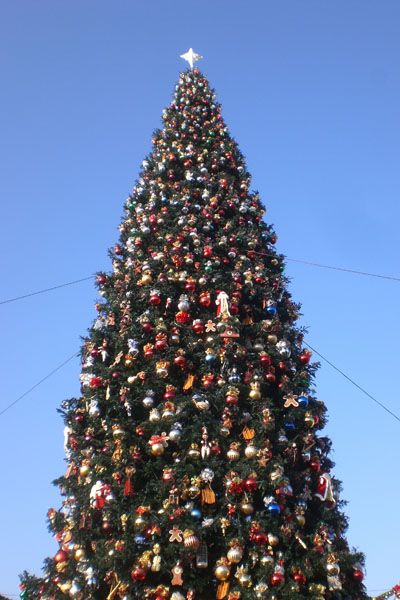 Christmas, Christmas comes to Disneyland with unique new holiday offerings in Cars Land and Buena Vista Street