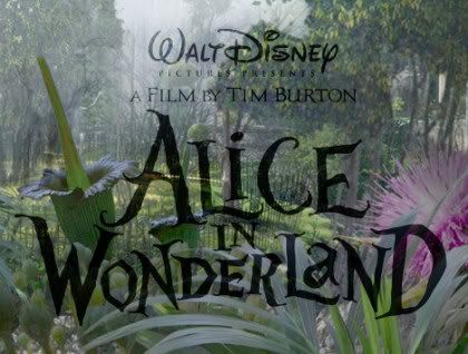 alice in wonderland the movie 2010 Pictures, Images and Photos