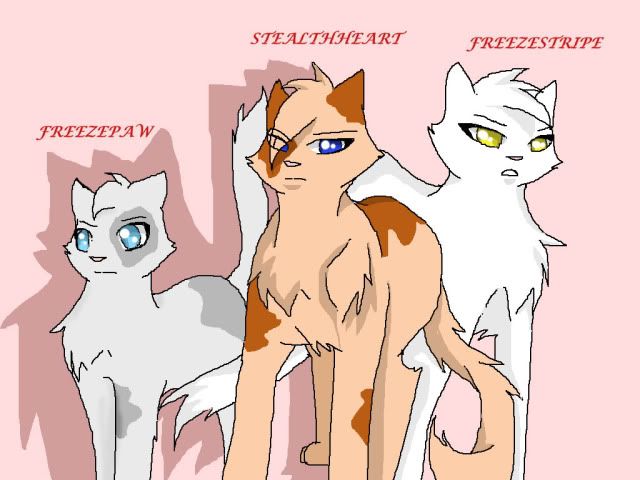 Warrior Cats Whitepaw