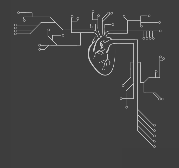 heart-circuit_sb.png