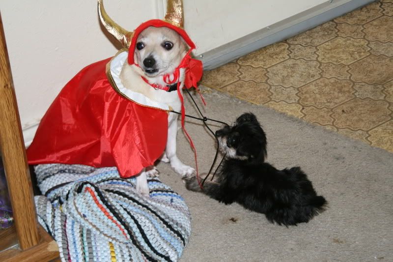 IMAGE: http://img.photobucket.com/albums/v648/BobbyC01TA/IMG_7456.jpg