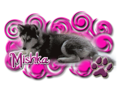 Mishka.png