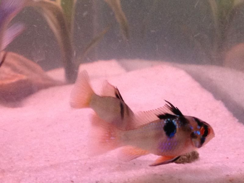 photo29.jpg