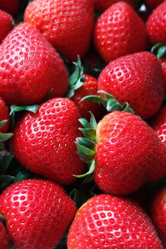 IMAGE: http://img.photobucket.com/albums/v648/mike682/_MG_2792adj.jpg