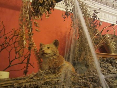 photo IMG_4139.jpg
