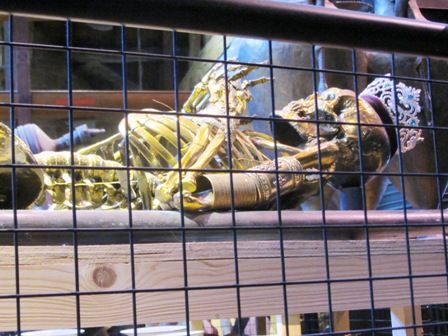 photo IMG_8168.jpg