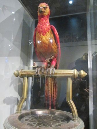 photo IMG_8261.jpg