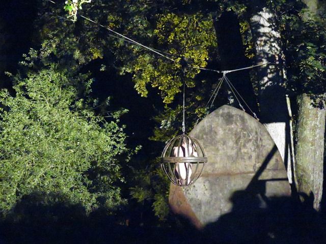 photo IMG_3988.jpg