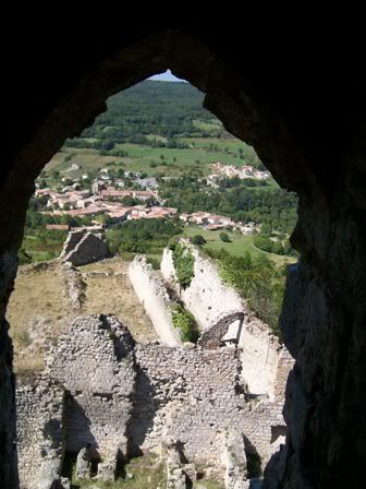 111_0587.jpg picture by morbidfrog
