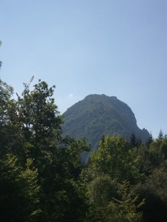 111_0637.jpg picture by morbidfrog