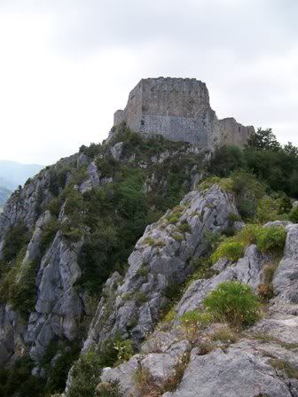 111_0660.jpg picture by morbidfrog