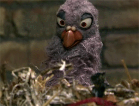 bird-gets-the-popcorn-and-opera-glasses-