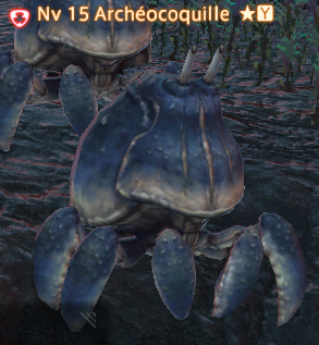 Archeacuteocoquille.png