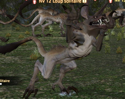 loup_solitaire-28-15.png