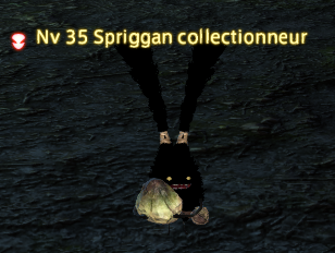 spriggan_collectionneur-9-16.png