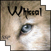Stormee&Whiccal Avatar
