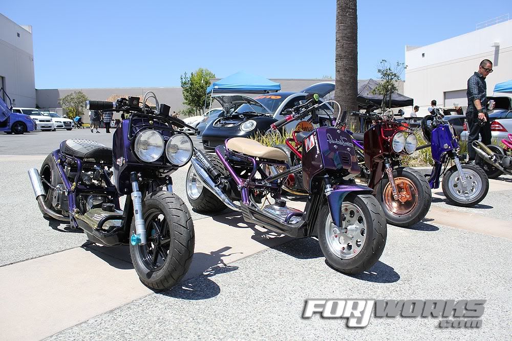 Ruckus2.jpg picture by eight08customs
