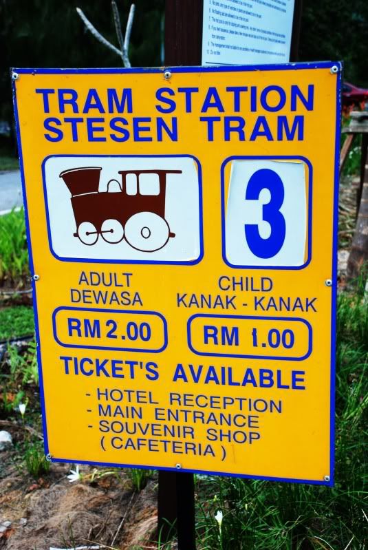 tram info