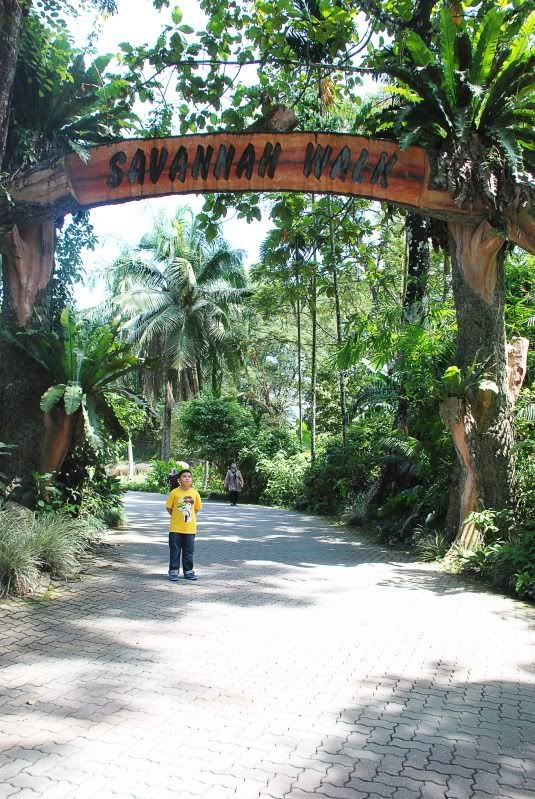 atif at savanah entrance