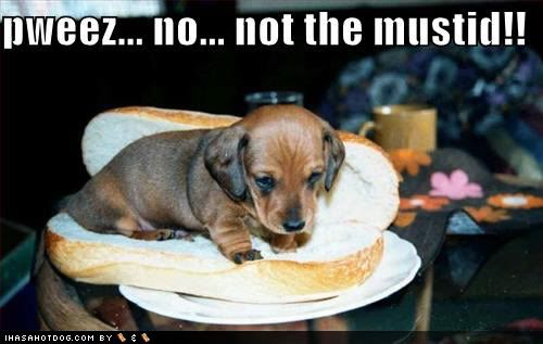 Puppy Hot Dog