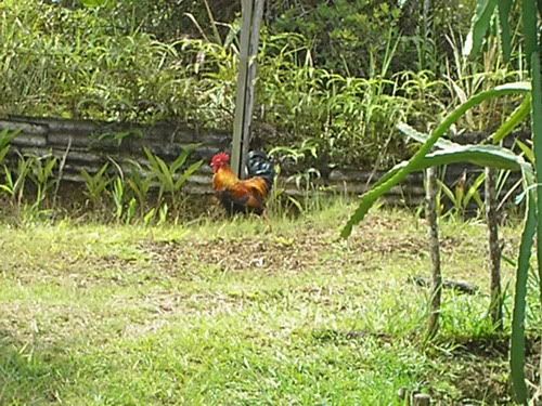 Image hosting by Photobucket