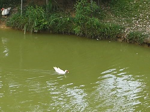 Image hosting by Photobucket