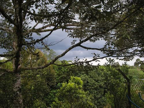 Image hosting by Photobucket