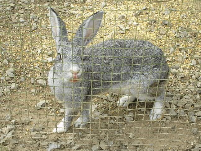 Image hosting by Photobucket