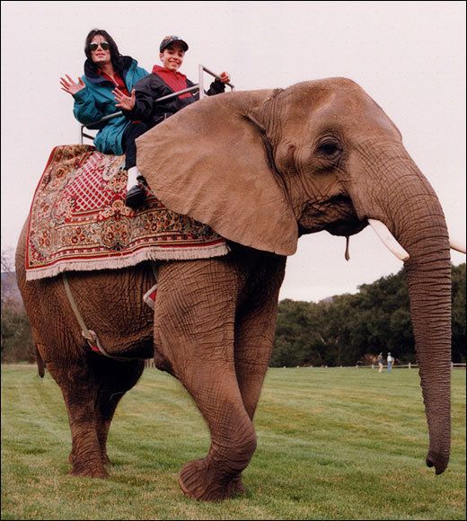 -elephant-ride-michael-jackson-9189919-520-580.jpg