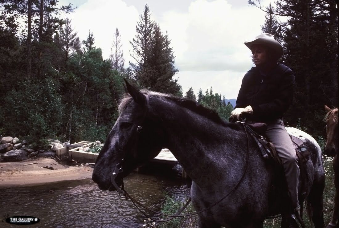 Michael-Jackson-Horse-michael-jackson-16385442-1100-740.jpg