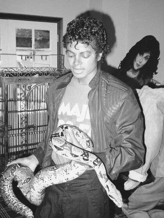 michael-jackson-seen-here-with-musles-the-boa-constricter-september-1983.jpg