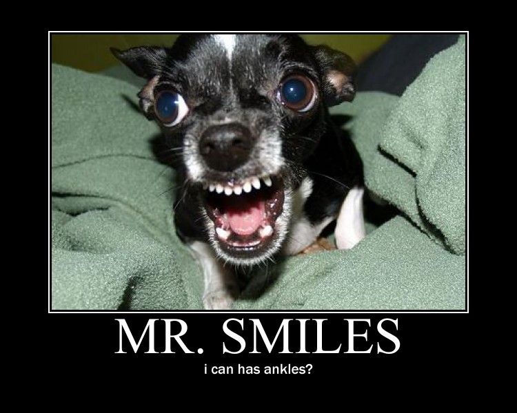 Mr. Smiles