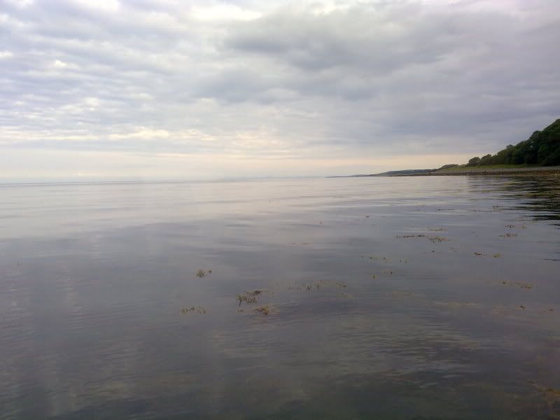 12072011004_2.jpg