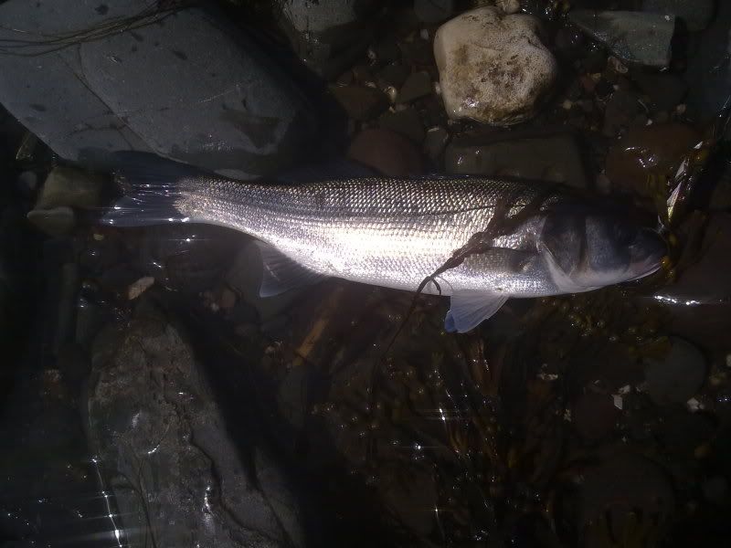 13072011017_2.jpg