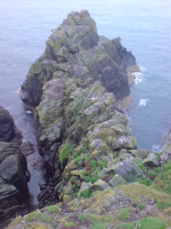 DSC00343.jpg