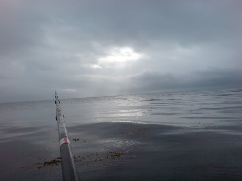 DSC00348.jpg