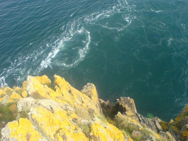 DSC00448.jpg