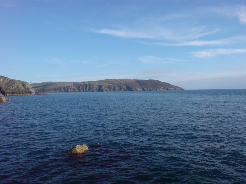 DSC01606.jpg
