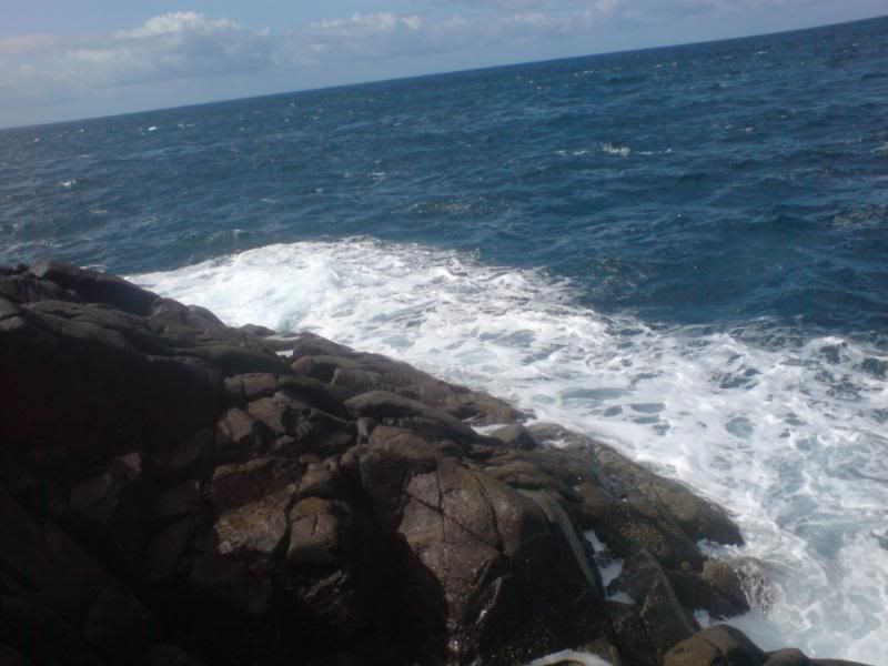 DSC03152.jpg